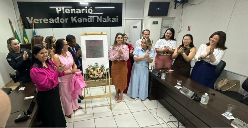 Ilustração da notícia Câmara de Paraíso das Águas implanta Procuradoria Especial da Mulher e inaugura Sala Rosa